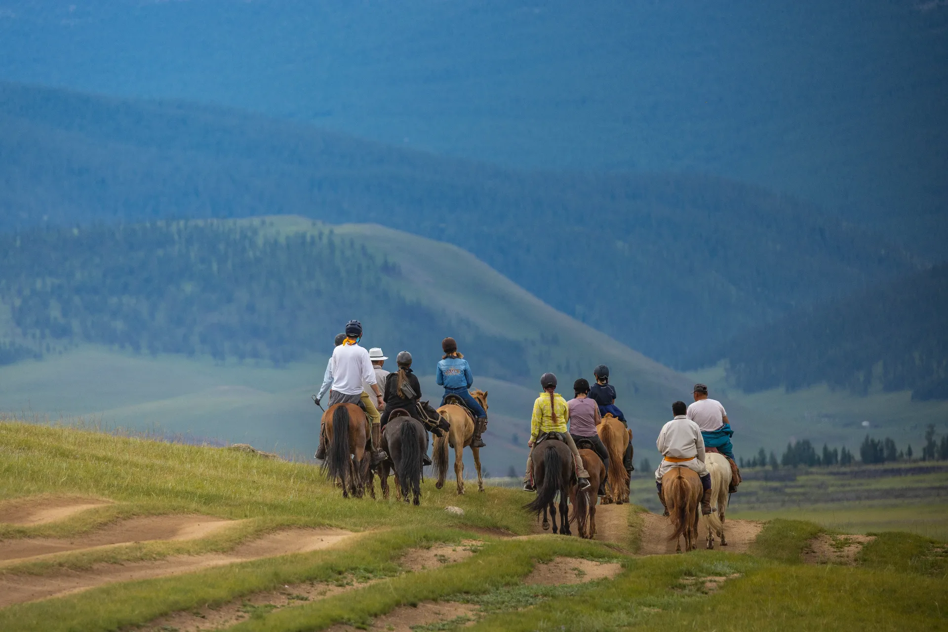 Tour group on horses from behind